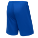 Шорты баскетбольные JÖGEL CAMP Basic, синий