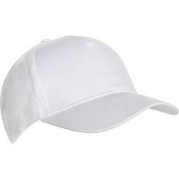 Бейсболка STAN 5 клиньев хлопок 150, 10L