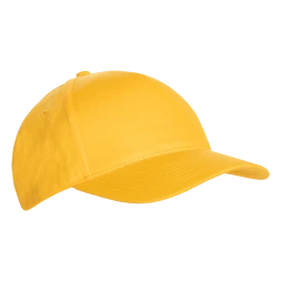 Бейсболка STAN 5 клиньев хлопок 150, 10L