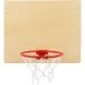 Щит баскетбольный 460 х 370 мм, с корзиной d=250 мм
