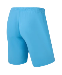Шорты игровые JOGEL CAMP Classic Shorts, голубой