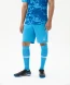 Шорты игровые JOGEL CAMP Classic Shorts, голубой