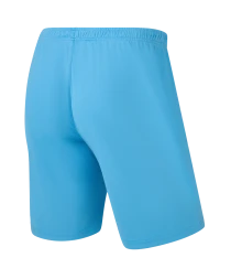 Шорты игровые JOGEL CAMP Classic Shorts, голубой