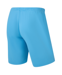 Шорты игровые JOGEL CAMP Classic Shorts, голубой