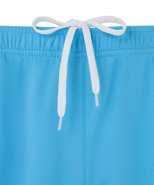 Шорты игровые JOGEL CAMP Classic Shorts, голубой