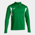 Олимпийка JOMA WINNER III 103151.452