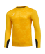 Свитер вратарский JOGEL DIVISION PerFormDRY GK Splash, желтый