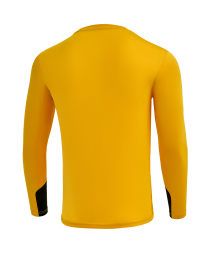 Свитер вратарский JOGEL DIVISION PerFormDRY GK Splash, желтый