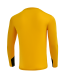 Свитер вратарский JOGEL DIVISION PerFormDRY GK Splash, желтый