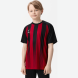 Футболка игровая JÖGEL CAMP Striped Jersey, красный/черный, детский