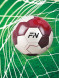 Футбольный мяч FN Football Ball (Машинная сшивка + Термосклейка) (White/Burgundy)