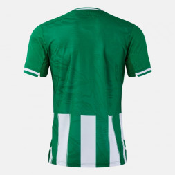 ФУТБОЛКА С КОРОТКИМ РУКАВОМ PREMIER ЗЕЛЁНЫЙ БЕЛЫЙ