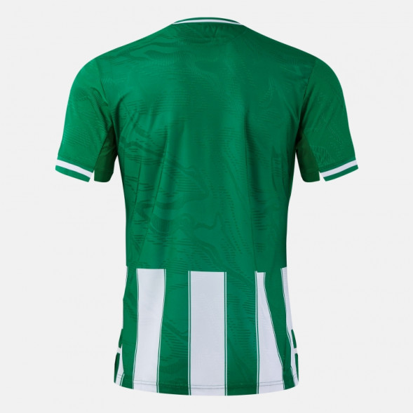 ФУТБОЛКА С КОРОТКИМ РУКАВОМ PREMIER ЗЕЛЁНЫЙ БЕЛЫЙ