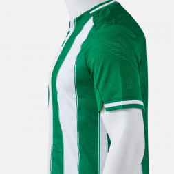 ФУТБОЛКА С КОРОТКИМ РУКАВОМ PREMIER ЗЕЛЁНЫЙ БЕЛЫЙ