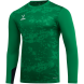 Свитер вратарский JOGEL DIVISION PerFormDRY GK Splash, зеленый