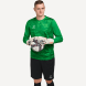 Свитер вратарский JOGEL DIVISION PerFormDRY GK Splash, зеленый