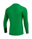 Свитер вратарский JOGEL DIVISION PerFormDRY GK Splash, зеленый