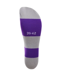 Гетры футбольные JOGEL CAMP BASIC SOCKS, фиолетовый/серый/белый