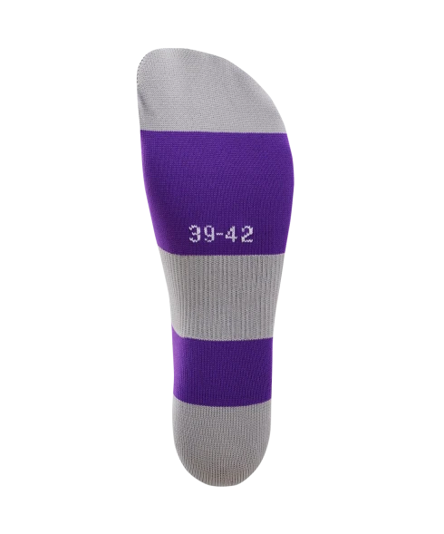 Гетры футбольные JOGEL CAMP BASIC SOCKS, фиолетовый/серый/белый