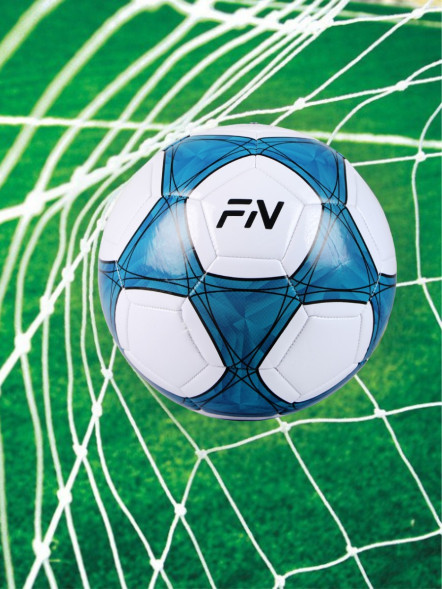 Футбольный мяч FN Football Ball (Машинная сшивка) (White/Blue)