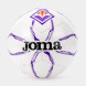 МЯЧ 1-Й FIORENTINA