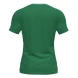 Игровая футболка JOMA FLAG II Зеленый-белый
