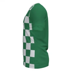 Игровая футболка JOMA FLAG II Зеленый-белый