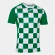 Игровая футболка JOMA FLAG II Зеленый-белый