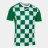 Игровая футболка JOMA FLAG II Зеленый-белый
