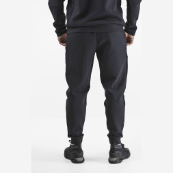 CENTURION Брюки SPECTRUM PN161M015 СвСк (06-L)