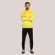 Спортивный костюм JOMA LION II  