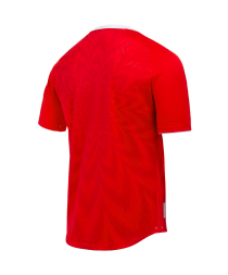 Футболка игровая JOGEL NATIONAL PerFormDRY Home Jersey, красный