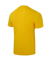 Футболка вратарская JOGEL DIVISION PerFormDRY SPLASH GK Jersey, желтый