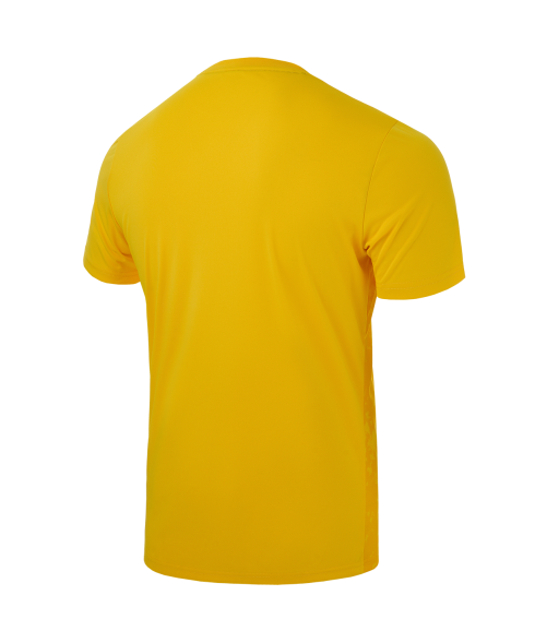 Футболка вратарская JOGEL DIVISION PerFormDRY SPLASH GK Jersey, желтый