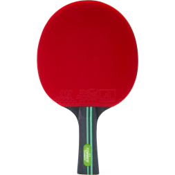 Ракетка для настольного тенниса TORRES Training 2*