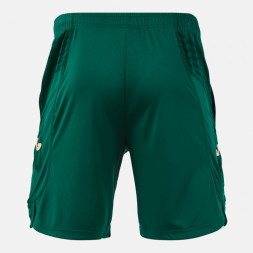 ШОРТЫ EAGLE PRO ЗЕЛЕНЫЙ