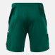 ШОРТЫ EAGLE PRO ЗЕЛЕНЫЙ