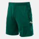 ШОРТЫ EAGLE PRO ЗЕЛЕНЫЙ