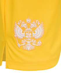 Шорты вратарские JOGELPerFormDRY National 26 GK Shorts, желтый