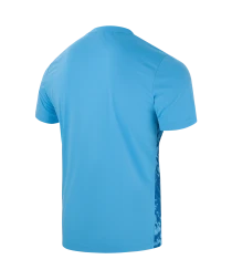 Футболка вратарская JOGEL DIVISION PerFormDRY SPLASH GK Jersey, голубой