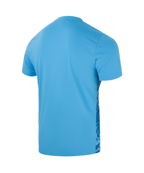 Футболка вратарская JOGEL DIVISION PerFormDRY SPLASH GK Jersey, голубой