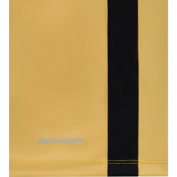 Футболка игровая JOGEL DIVISION PerFormDRY Element Jersey Y2, золотой