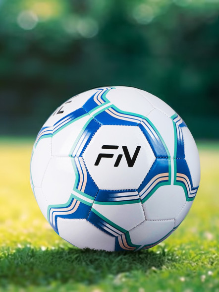 Футбольный мяч FN Football Ball (Машинная сшивка) (Blue/White)
