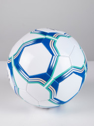 Футбольный мяч FN Football Ball (Машинная сшивка) (Blue/White)