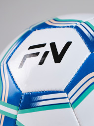 Футбольный мяч FN Football Ball (Машинная сшивка) (Blue/White)