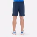 Шорты JOMA NOBEL 100053.331