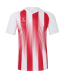 Футболка игровая JOGEL CAMP Striped Jersey, красный/белый