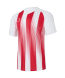Футболка игровая JOGEL CAMP Striped Jersey, красный/белый