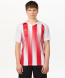Футболка игровая JOGEL CAMP Striped Jersey, красный/белый