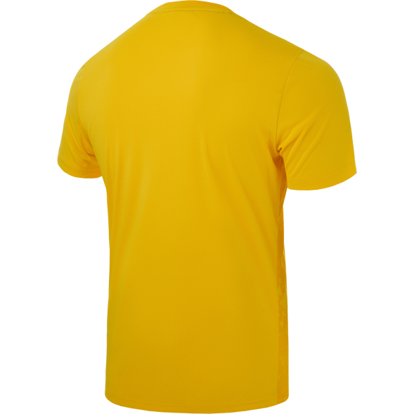 Футболка вратарская JOGEL DIVISION PerFormDRY SPLASH GK Jersey, желтый, детский